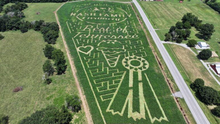 DJI 20250807014132 0060 D - Nash Family Creamery