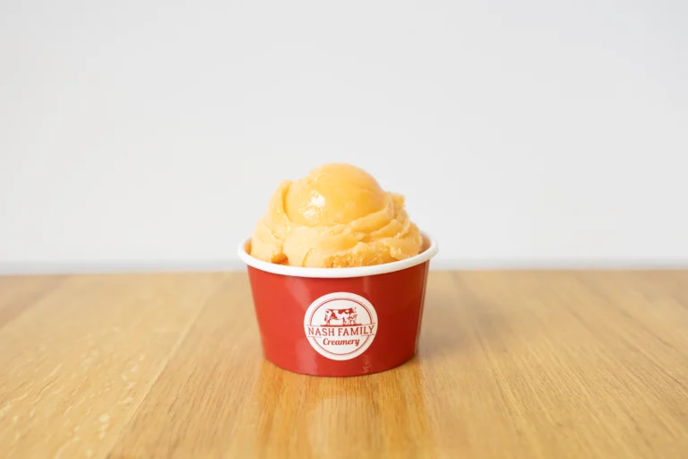 dairy free italian ice - Nash Family Creamery